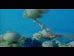 slowly_video.jpg
